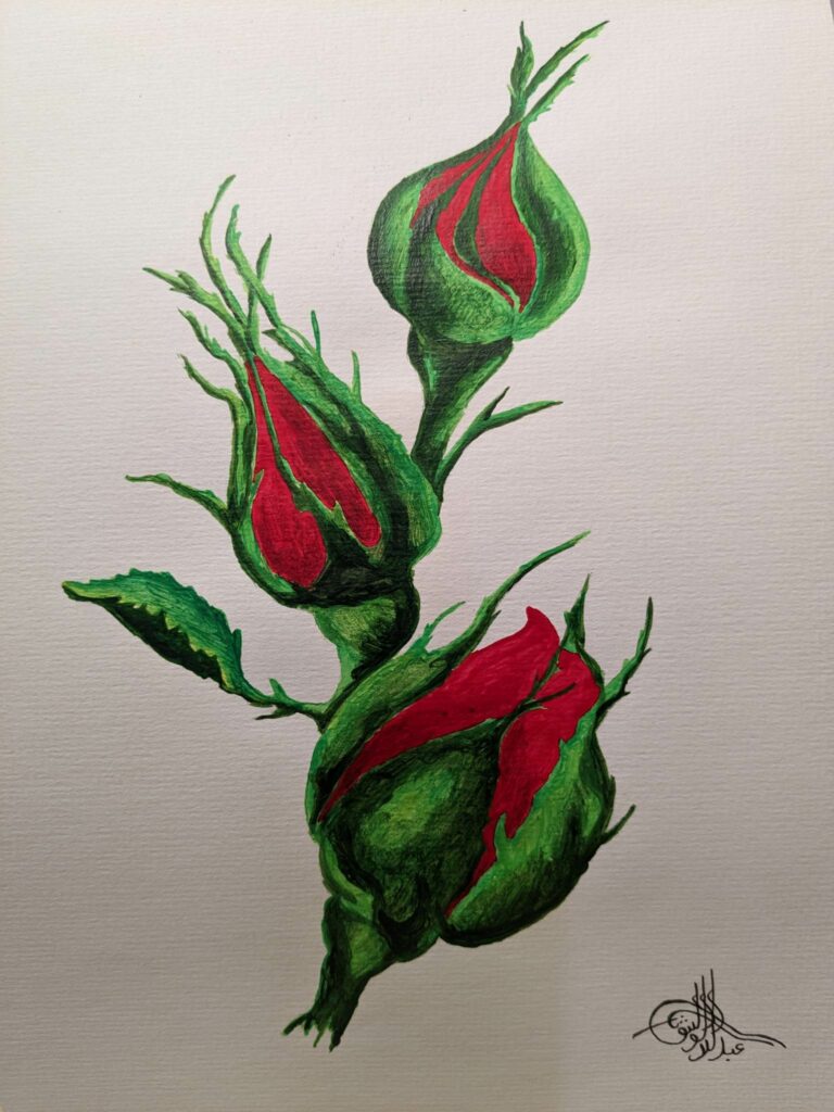 Red Rose Bud