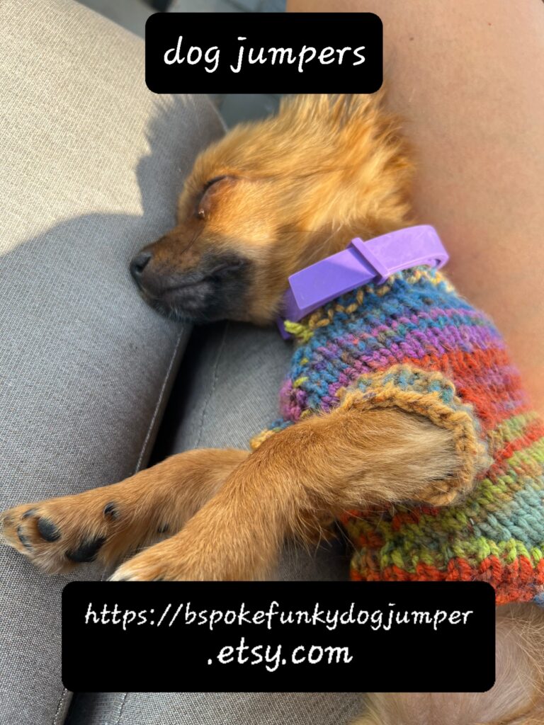 Dog Jumpers